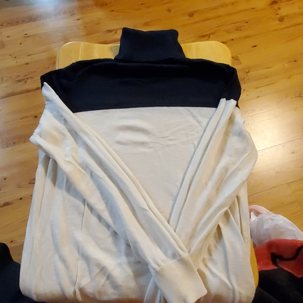 Ann Taylor Turtleneck